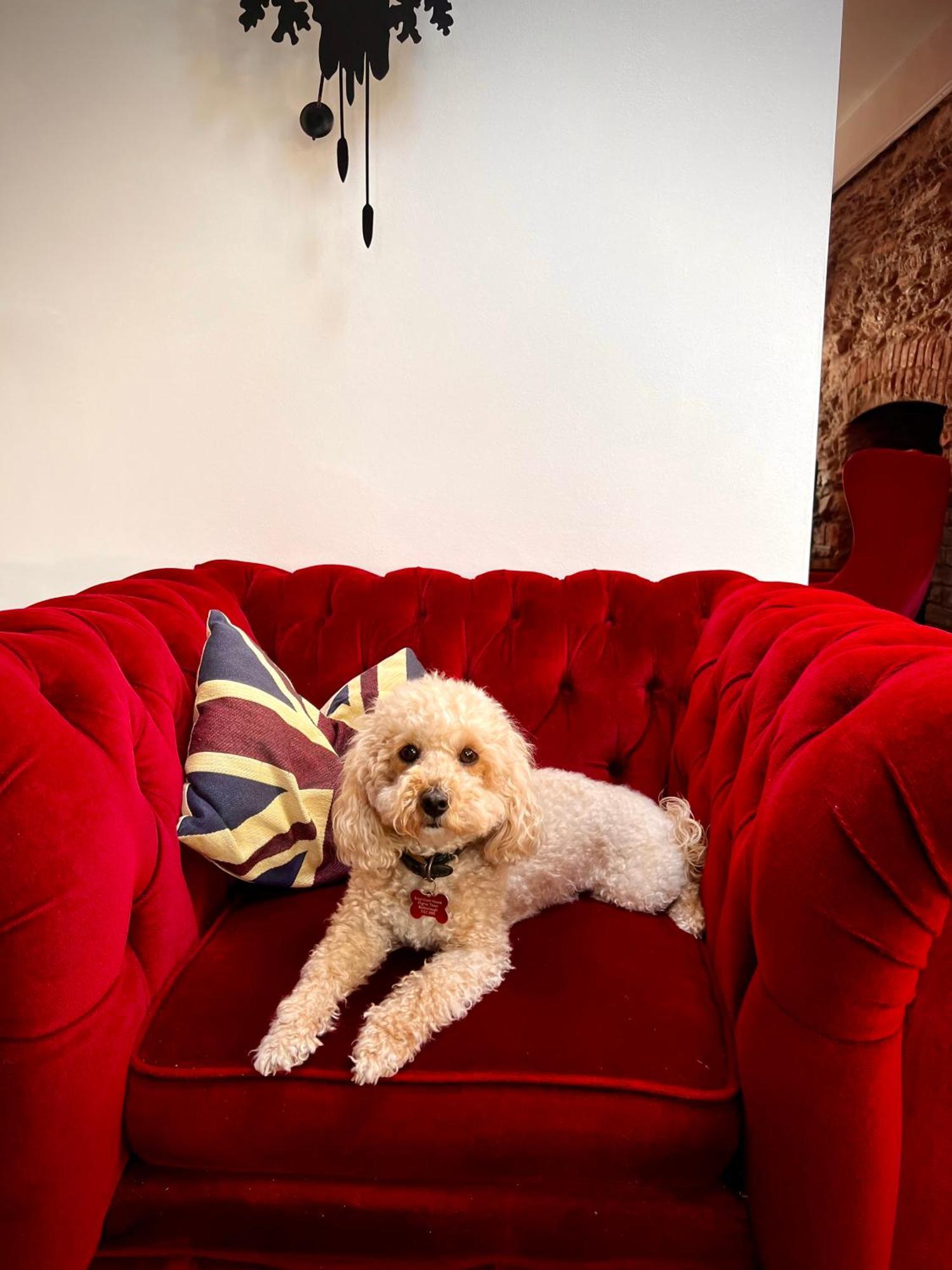 Bed and Breakfast Brightham House - Exclusively For Adults Солкомб Екстер'єр фото